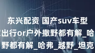 东兴配资 国产suv车型推荐，全家出行or户外撒野都有解_哈弗_越野_坦克