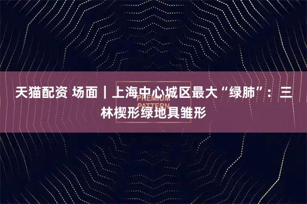 天猫配资 场面｜上海中心城区最大“绿肺”：三林楔形绿地具雏形