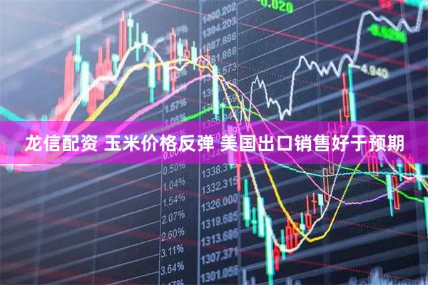 龙信配资 玉米价格反弹 美国出口销售好于预期