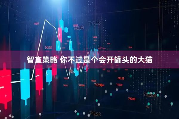 智宣策略 你不过是个会开罐头的大猫