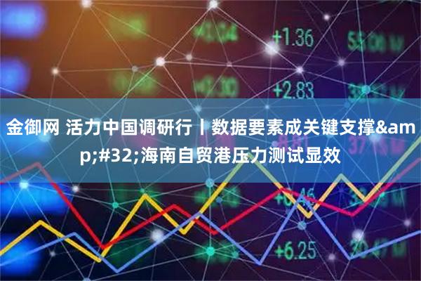 金御网 活力中国调研行丨数据要素成关键支撑 海南自贸港压力测试显效