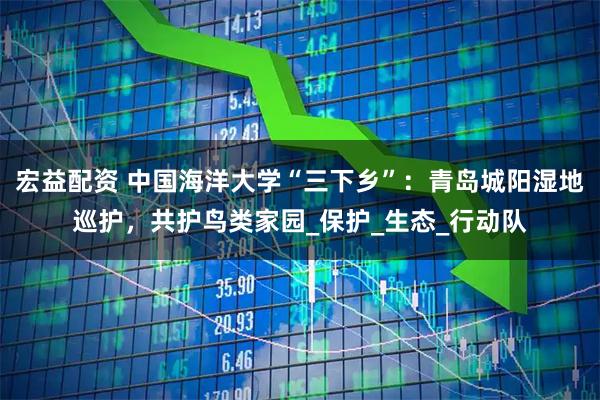 宏益配资 中国海洋大学“三下乡”:青岛城阳湿地巡护,共护鸟类家园_保护_生态_行动队