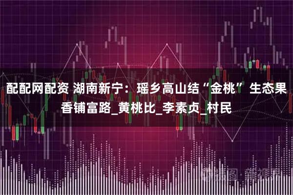 配配网配资 湖南新宁:瑶乡高山结“金桃” 生态果香铺富路_黄桃比_李素贞_村民