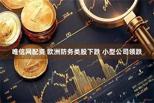 唯信网配资 欧洲防务类股下跌 小型公司领跌